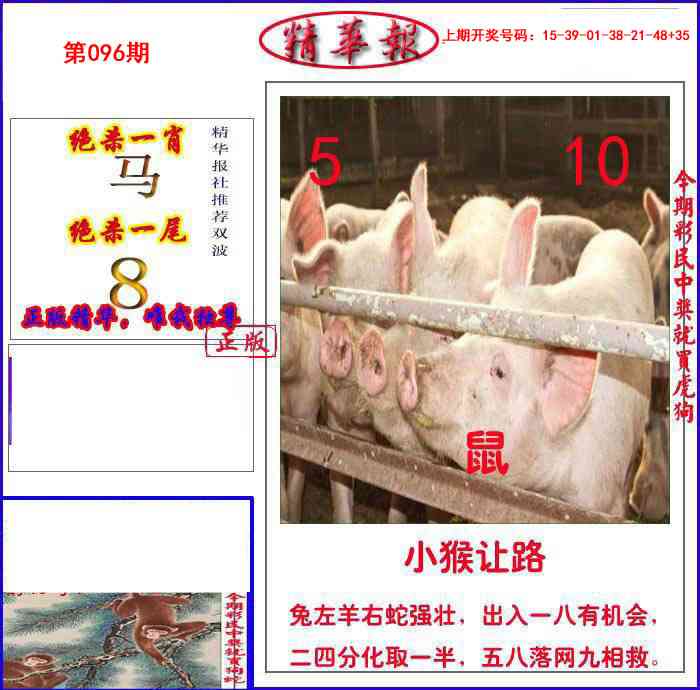 096期新精华报报[图]